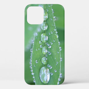 Dewdrop Case-Mate iPhone Case