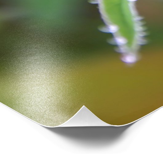 Dewdrop Foto Afdruk (Hoek)