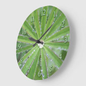 Dewdrop Grote Klok (Hoek)