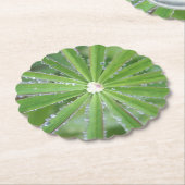 Dewdrop Kartonnen Onderzetters (Gekanteld)