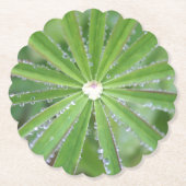 Dewdrop Kartonnen Onderzetters (Voorkant)