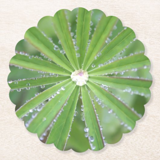 Dewdrop Kartonnen Onderzetters (Voorkant)