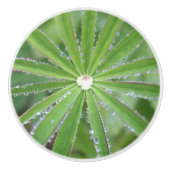 Dewdrop Keramische Knop (Voorkant)