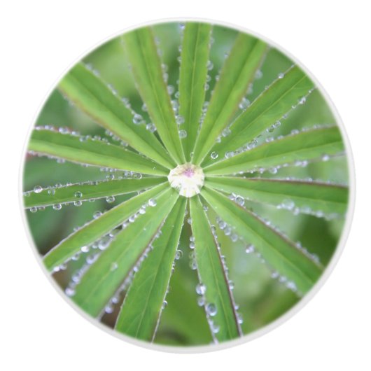 Dewdrop Keramische Knop (Voorkant)