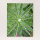 Dewdrop Legpuzzel (Verticaal)