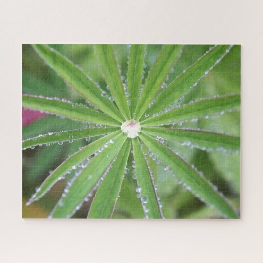 Dewdrop Legpuzzel (Horizontaal)