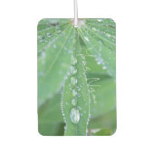 Dewdrop Luchtverfrisser (Voorkant)