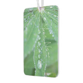 Dewdrop Luchtverfrisser (Links)