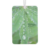 Dewdrop Luchtverfrisser (Achterkant)