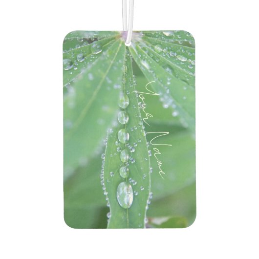 Dewdrop Luchtverfrisser (Achterkant)