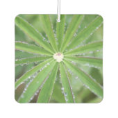 Dewdrop Luchtverfrisser (Voorkant)