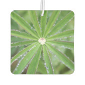 Dewdrop Luchtverfrisser (Achterkant)