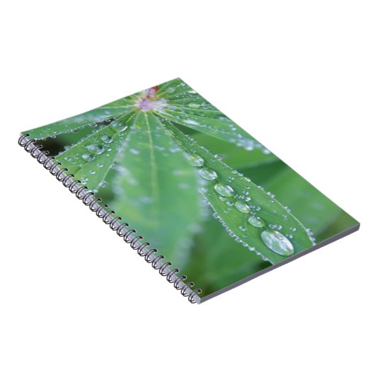 Dewdrop Notitieboek (Rechterzijde)