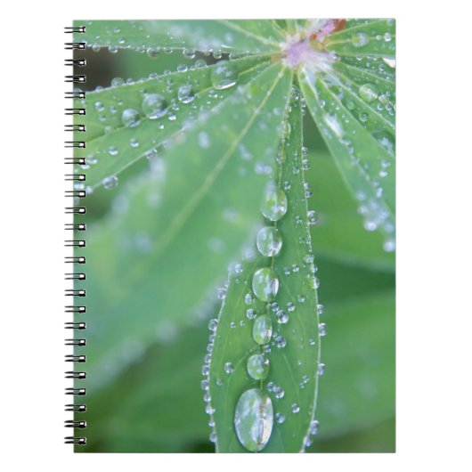 Dewdrop Notitieboek (Voorkant)