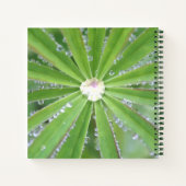 Dewdrop Notitieboek (Achterkant)