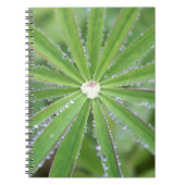 Dewdrop Notitieboek (Voorkant)