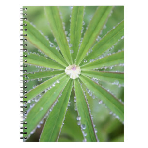 Dewdrop Notitieboek