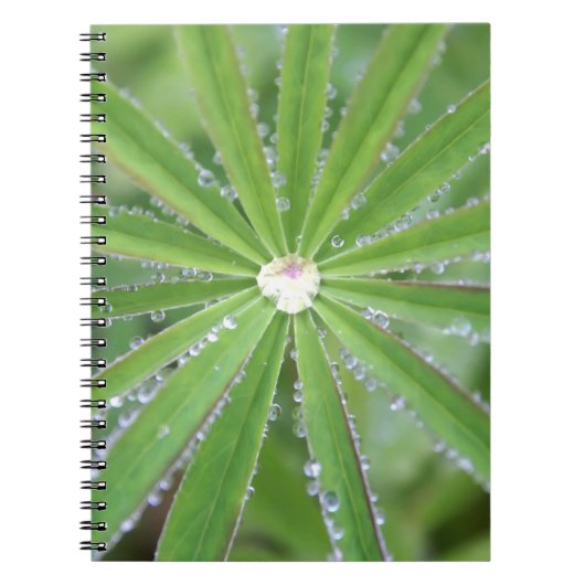 Dewdrop Notitieboek (Voorkant)