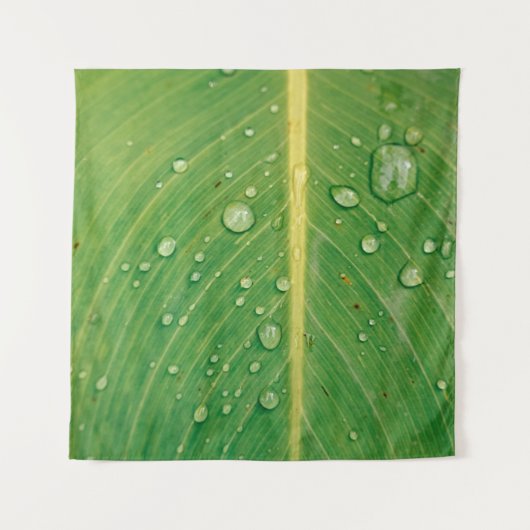 Dewdrop op groen bladhoudend plant wandkleed (Voorkant)