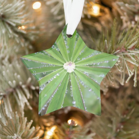 Dewdrop Ornament (Boom)