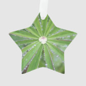 Dewdrop Ornament (achterkant)