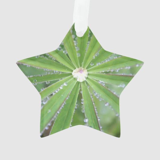 Dewdrop Ornament (achterkant)
