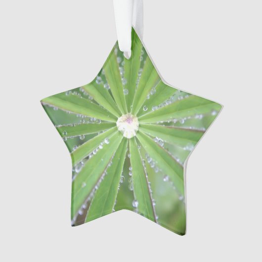 Dewdrop Ornament (voorkant)