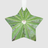 Dewdrop Ornament (voorkant)