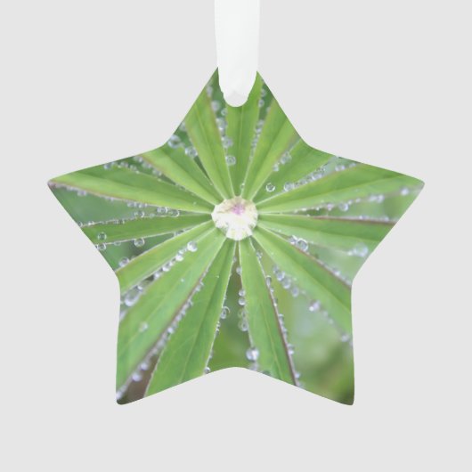 Dewdrop Ornament (voorkant)