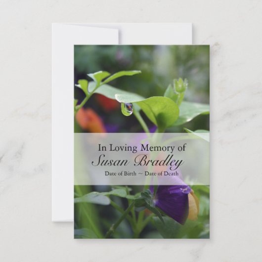 Dewdrop Pansy Viering van het Leven Uitnodiging (Voorkant)