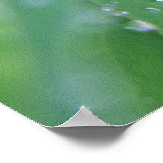 Dewdrop Poster (Hoek)