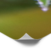 Dewdrop Poster (Hoek)