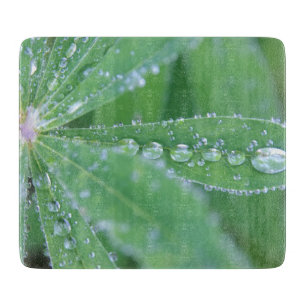 Dewdrop Snijplank