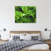 Dewdruppels op een False Helabore Canvas Afdruk (Insitu (Slaapkamer))