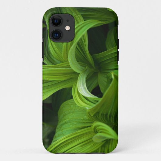 Dewdruppels op een False Helabore Case-Mate iPhone Case (Achterkant)