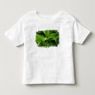 Dewdruppels op een False Helabore Kinder Shirts