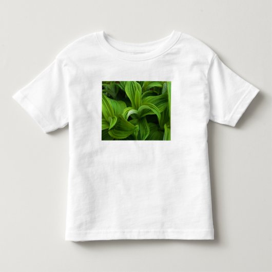 Dewdruppels op een False Helabore Kinder Shirts (Voorkant)