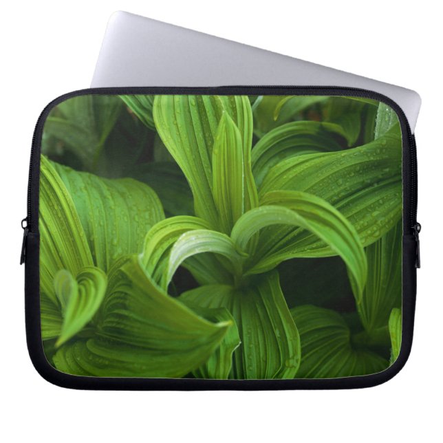 Dewdruppels op een False Helabore Laptop Sleeve (Voorkant)
