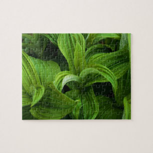 Dewdruppels op een False Helabore Legpuzzel