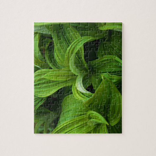 Dewdruppels op een False Helabore Legpuzzel (Verticaal)