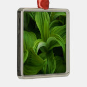 Dewdruppels op een False Helabore Metalen Ornament (Rechts)