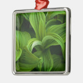 Dewdruppels op een False Helabore Metalen Ornament (Links)