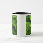 Dewdruppels op een False Helabore Mok (Midden)