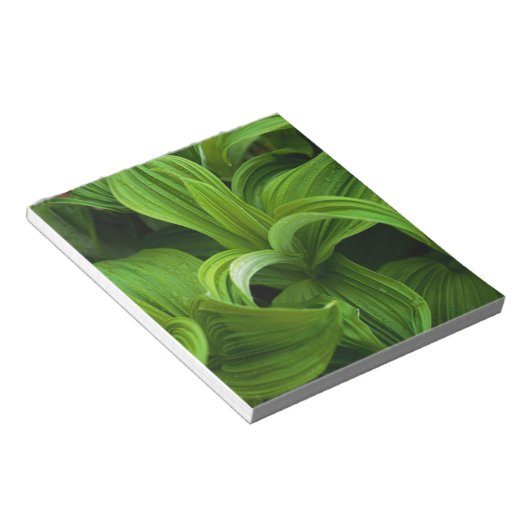 Dewdruppels op een False Helabore Notitieblok (Schuin)