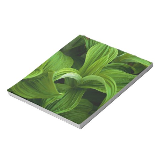 Dewdruppels op een False Helabore Notitieblok (Linkerzijde)