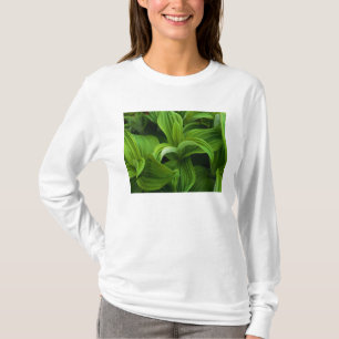 Dewdruppels op een False Helabore T-shirt