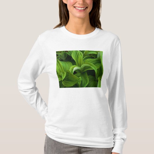 Dewdruppels op een False Helabore T-shirt (Voorkant)