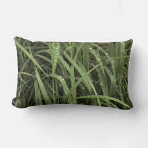 Dewdruppels op gras kussen