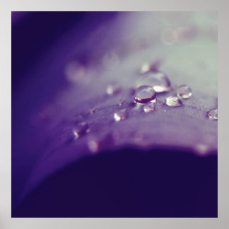 Dewdruppels op Paarse groene Leaf Macro Abstract Poster