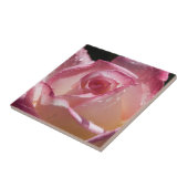 Dewdruppels op roze Rose - keramische tegel Tegeltje (Zijkant)